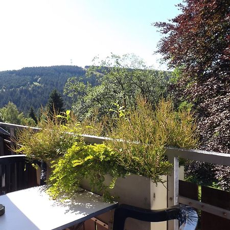 ゴスラー Residenz Bocksberg-Blick & St. Florianヴィラ エクステリア 写真